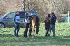CEN_Eibiswald_042022_03
