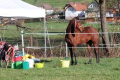 CEN_Eibiswald_042022_07