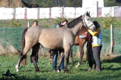 CEN_Eibiswald_042022_11
