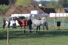 CEN_Eibiswald_042022_18