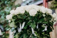 Grazettina_052022_02