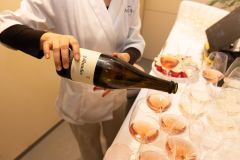 Grazettinas_022026_032
